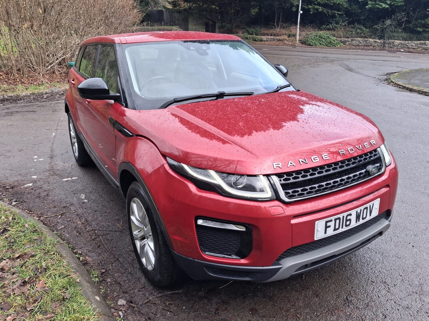 Used Land Rover Range Rover Evoque 2016 for sale - 77353641: Photo 3