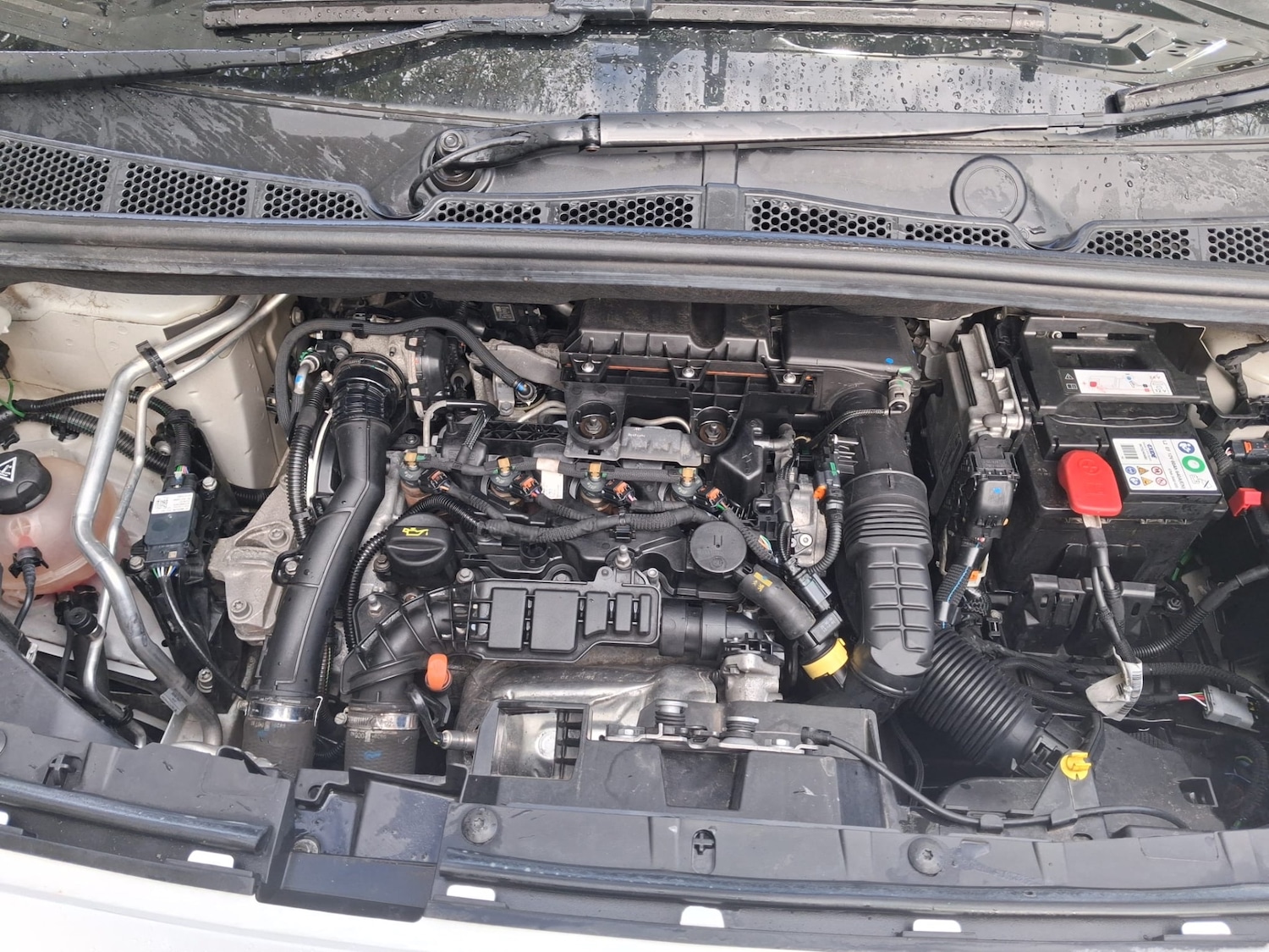 Used Vauxhall Combo 2021 for sale - 76343934: Photo 8