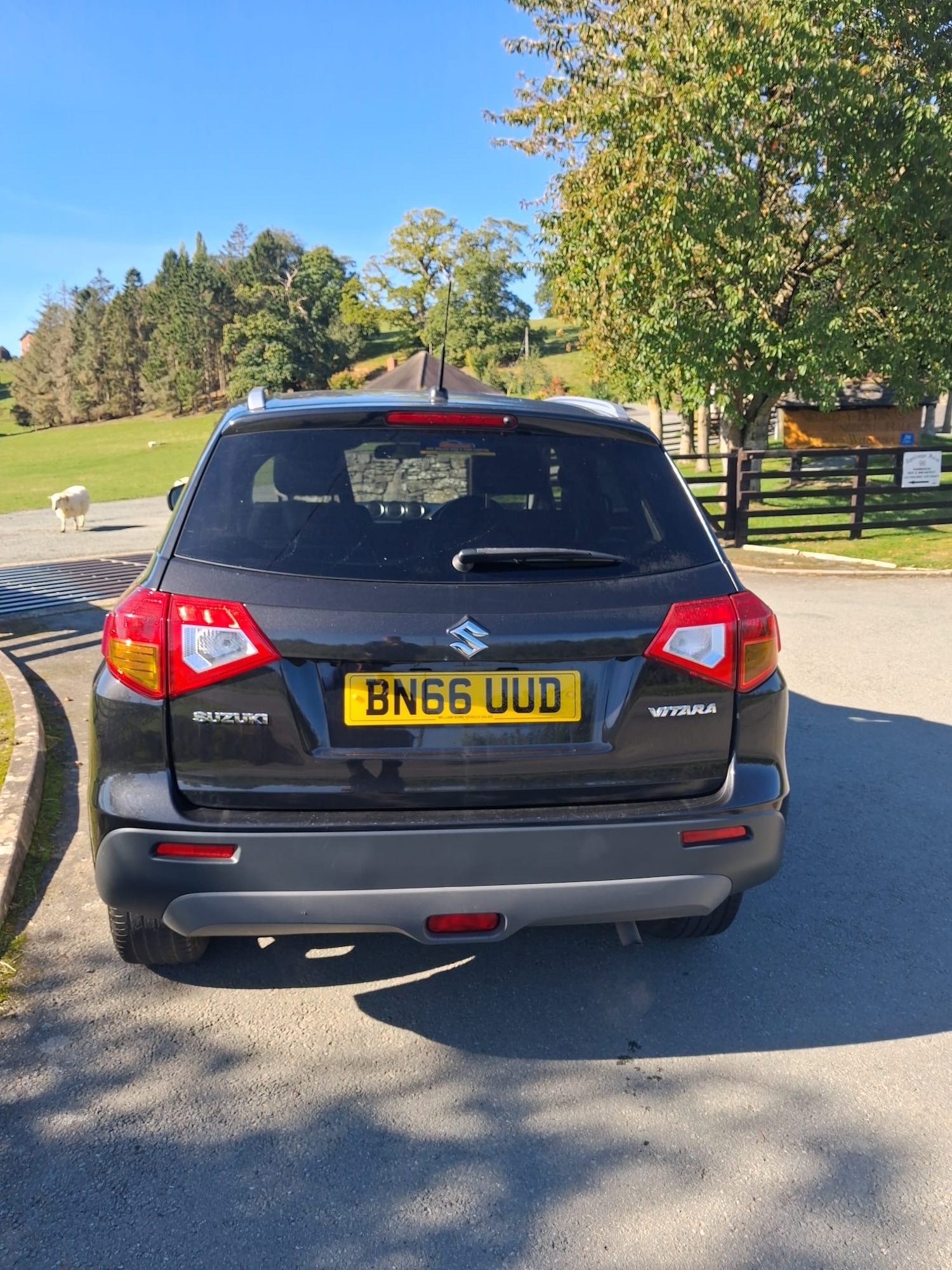 Vehicle 6
