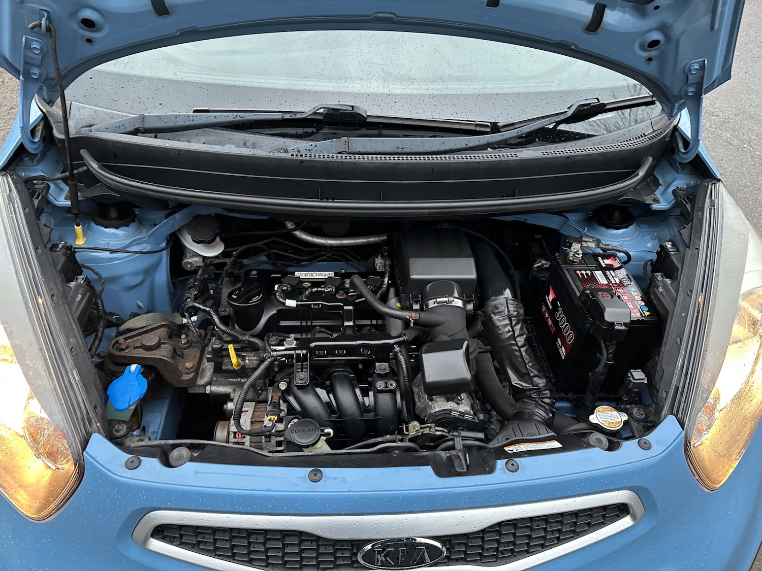 Used Kia Picanto 2011 for sale - 77416810: Photo 5