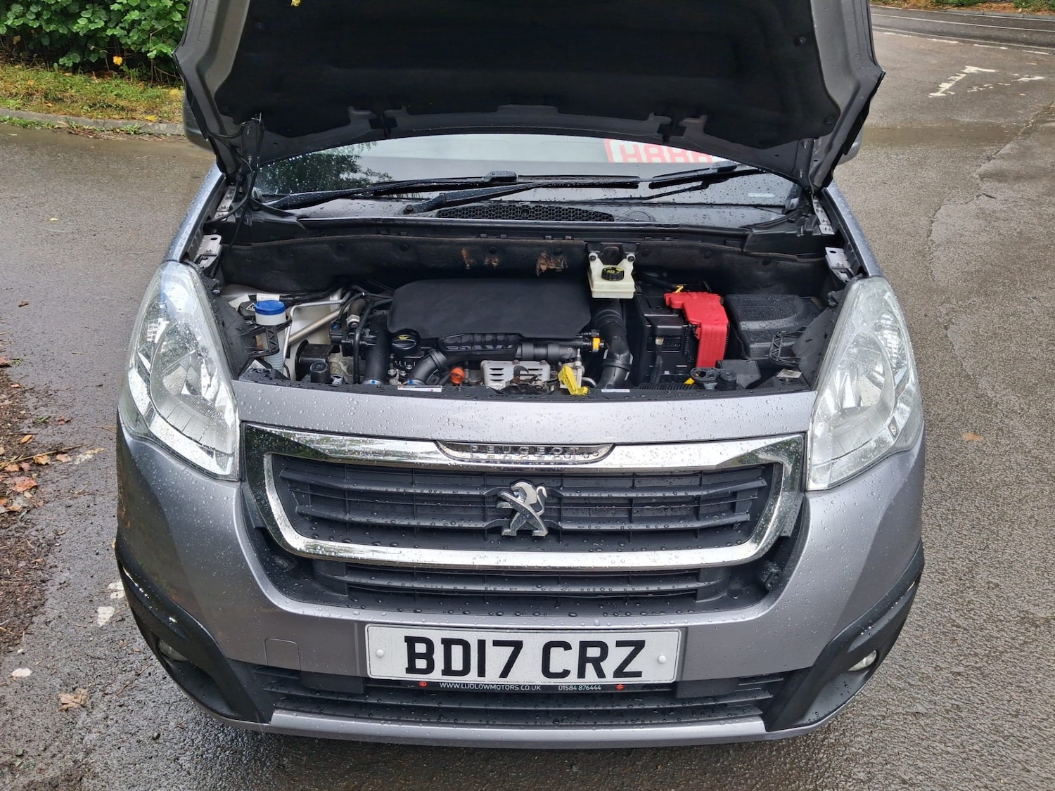 Vehicle 13