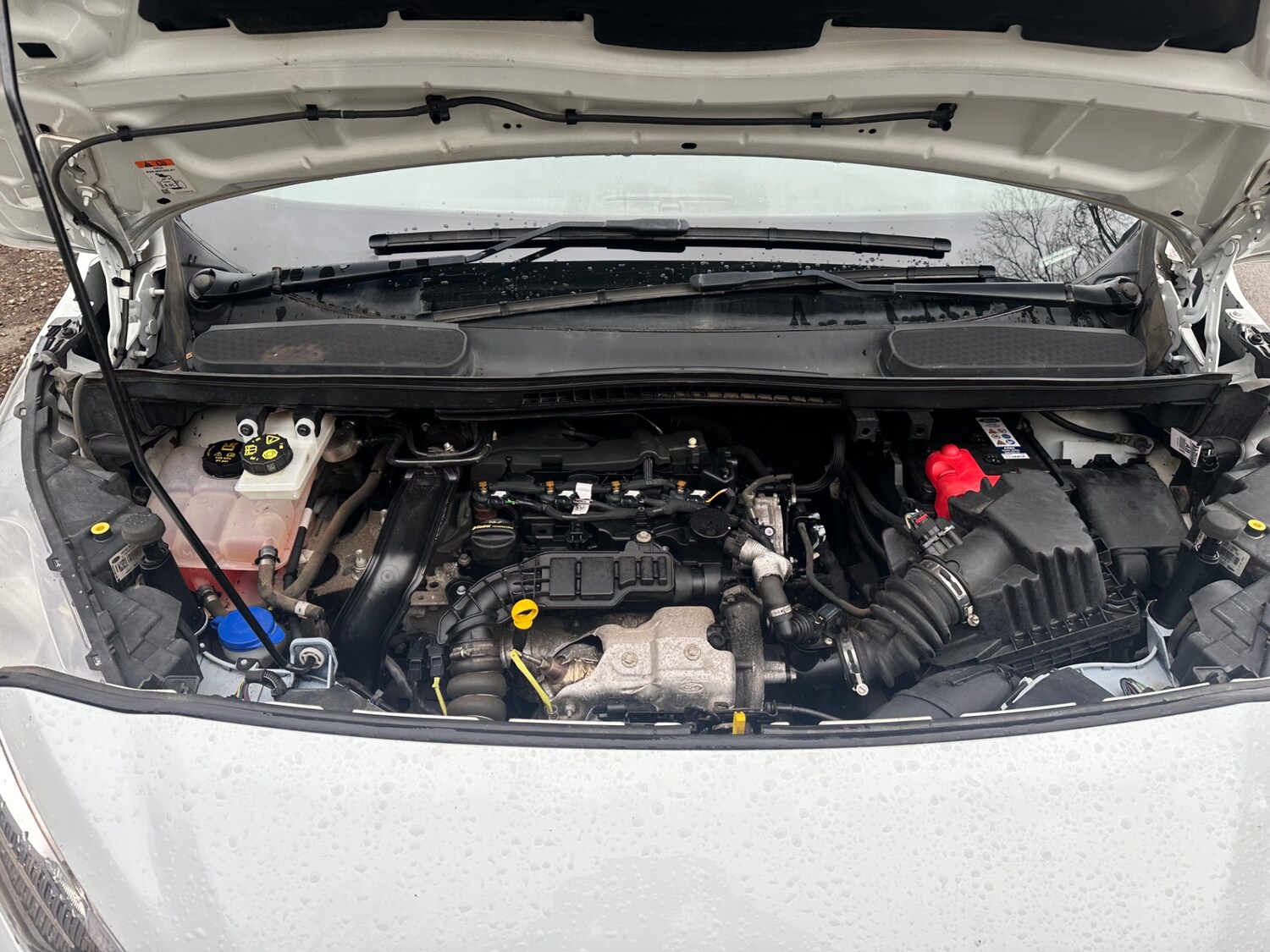 Used Ford Transit Connect 2021 for sale - 78038862: Photo 9