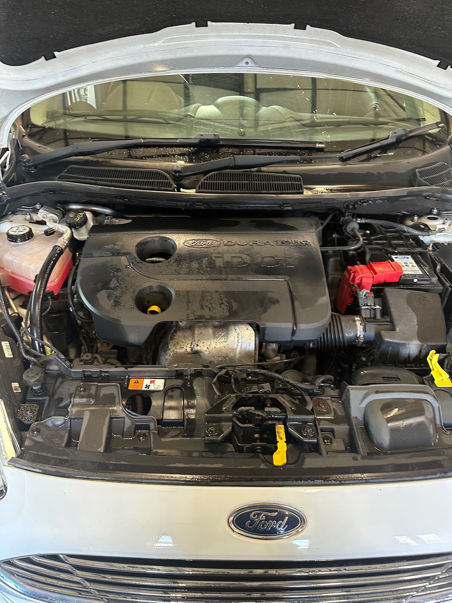 Used Ford Fiesta 2015 for sale - 78166445: Photo 12