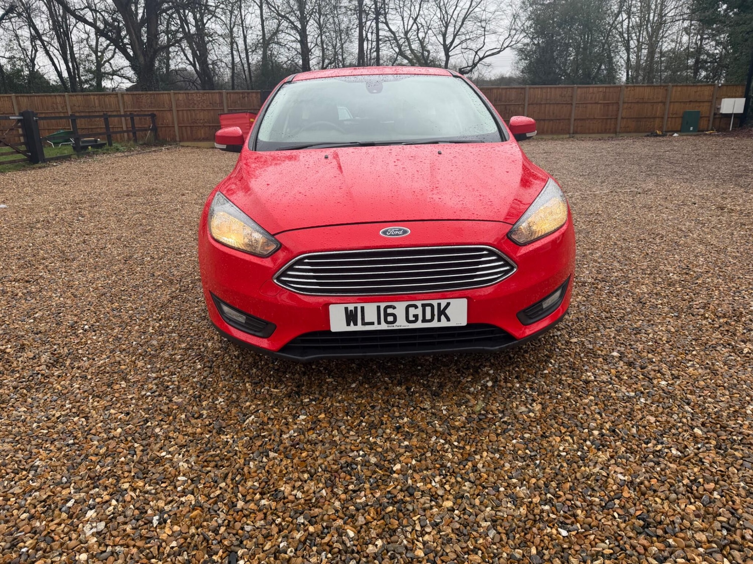 Used Ford Focus 2016 for sale - 77469343: Photo 5