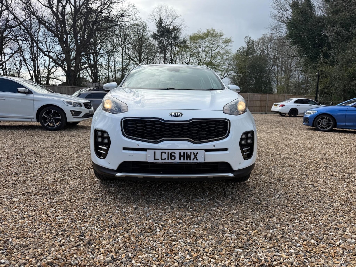 Used Kia Sportage 2016 for sale - 78058544: Photo 5