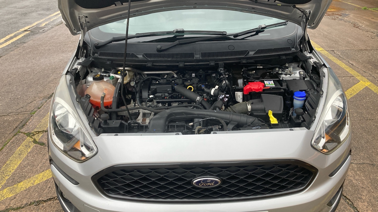 Used Ford Ka+ 2019 for sale - 77282399: Photo 8