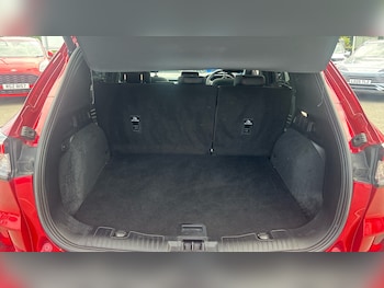 Used Ford Kuga 2023 for sale - 78465559: Photo