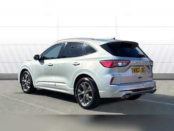 Used Ford Kuga 2020 for sale - 79802419: Photo