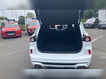 Used Ford Kuga 2023 for sale - 78951287: Photo