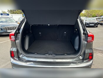 Used Ford Kuga 2025 for sale - 78353173: Photo