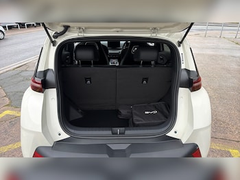 Used BYD Dolphin 2025 for sale - 77170265: Photo