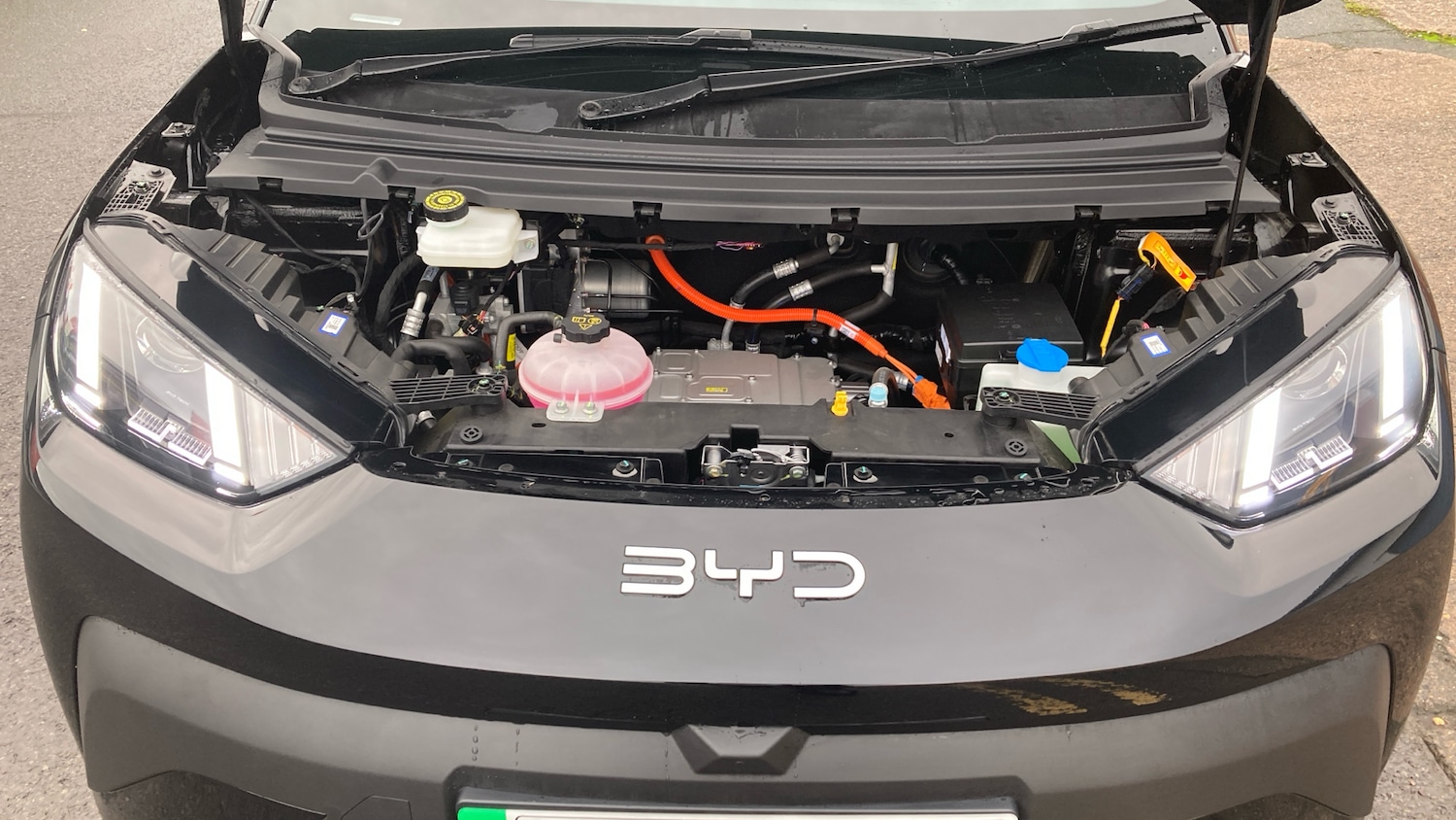 Used BYD Dolphin 2025 for sale - 76532065: Photo 8