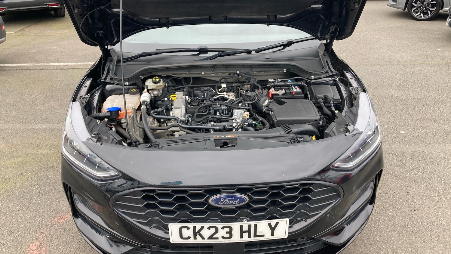 Used Ford Focus 2023 for sale - 77959181: Photo 8