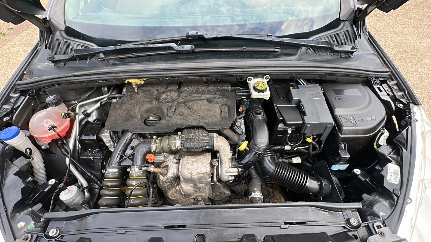 Used Peugeot 308 2018 for sale - 77015912: Photo 48