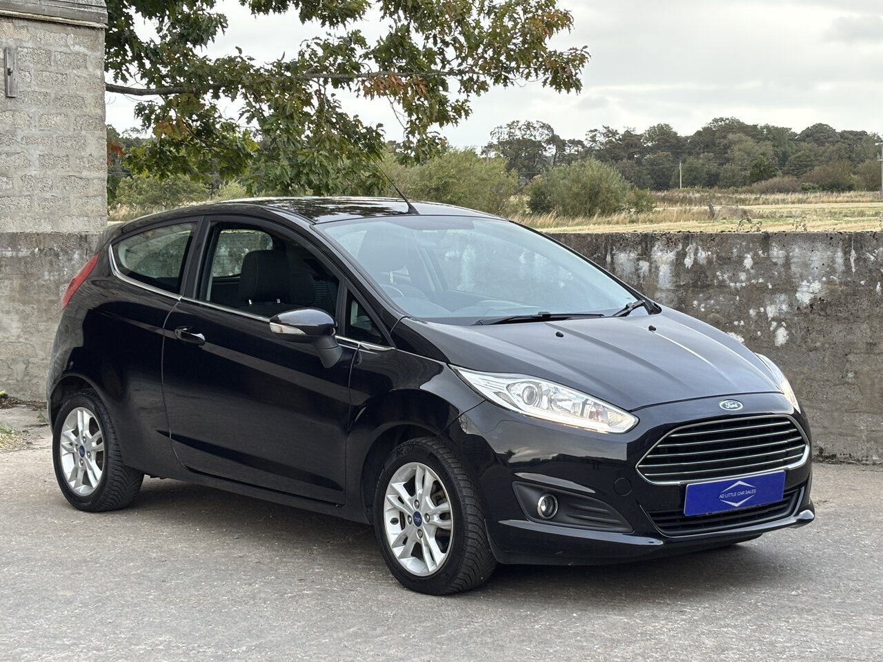 Used Ford Fiesta 2016 for sale - 76023337: Photo 1