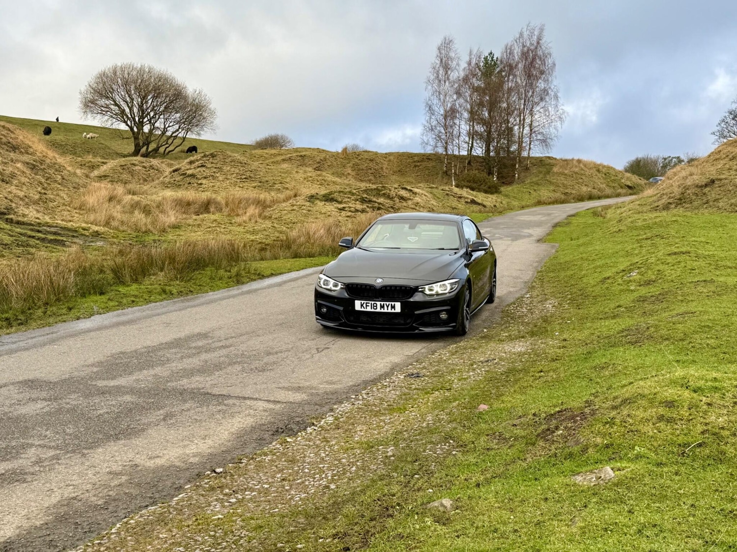 Used BMW 4 Series 2018 for sale - 76786380: Photo 3