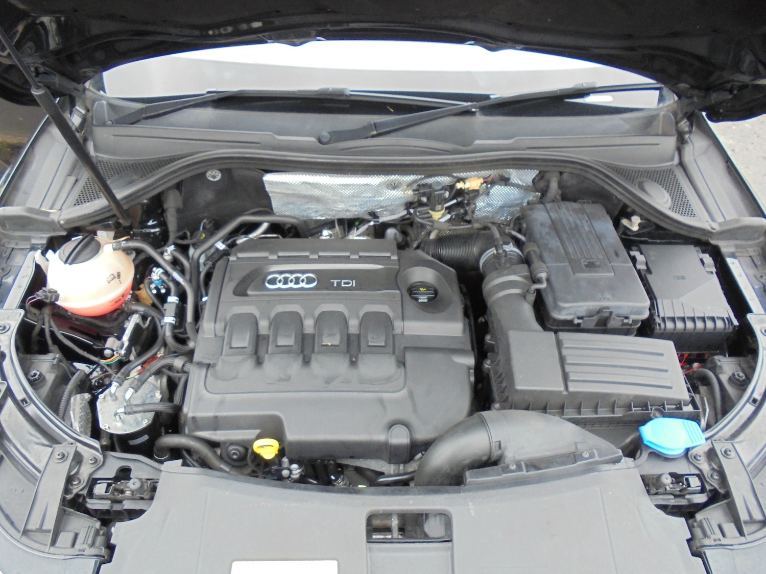 Used Audi Q3 2015 for sale - 76723389: Photo 28