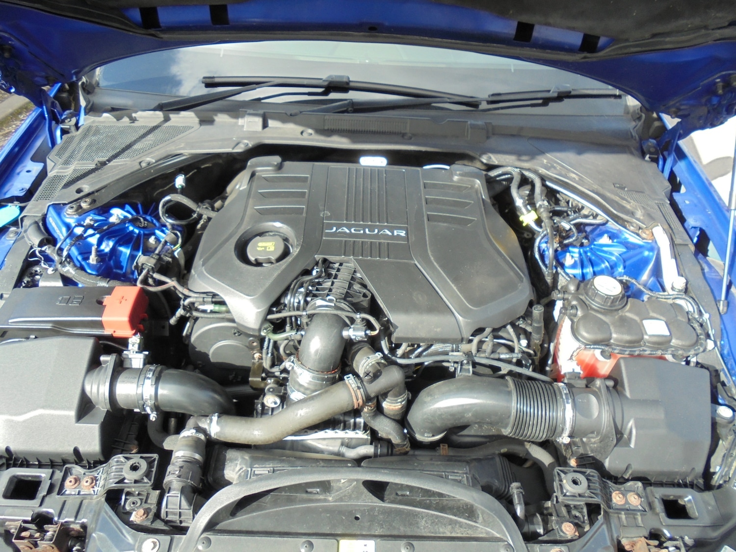 Used Jaguar XF 2016 for sale - 77830668: Photo 30