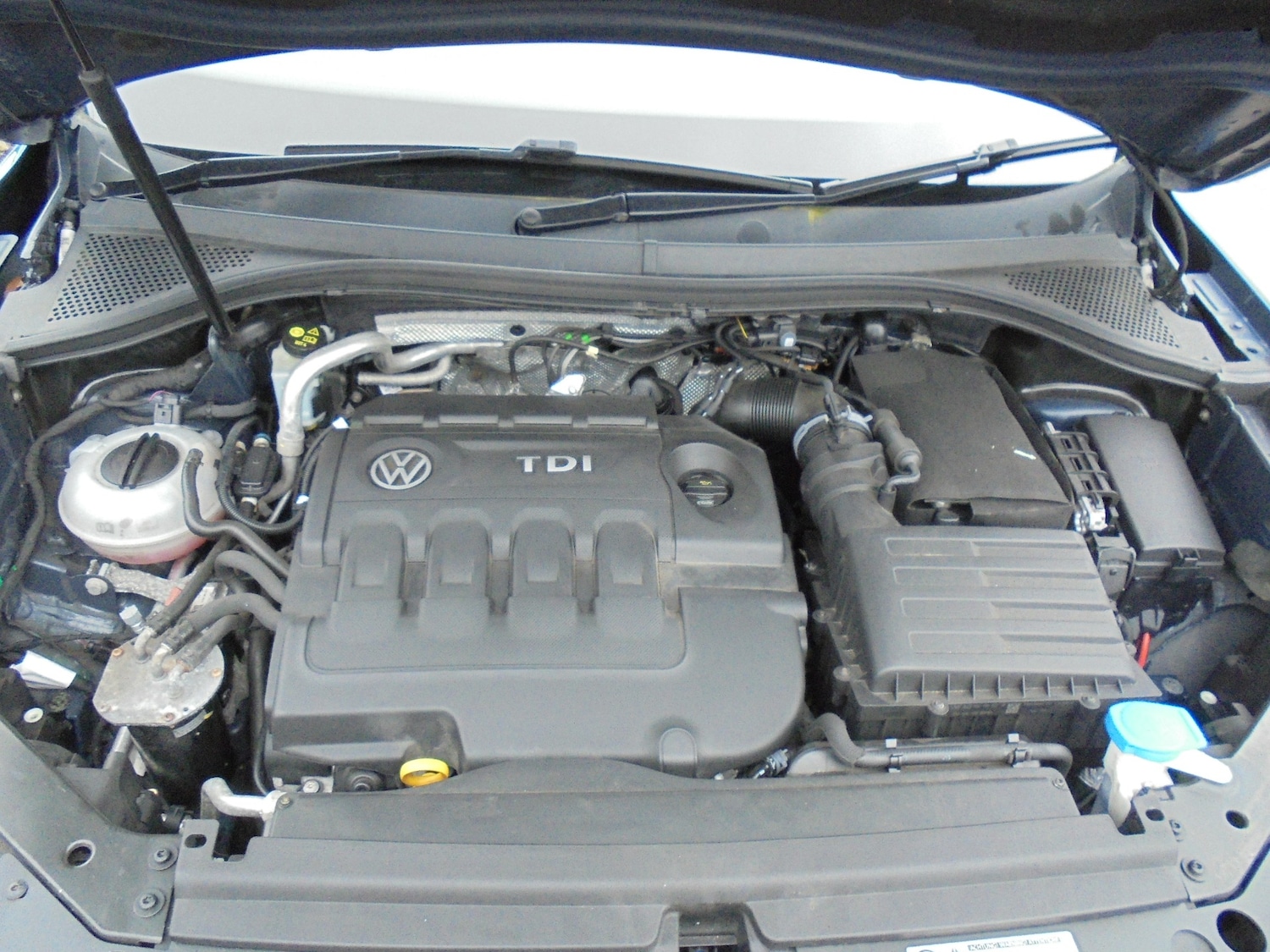 Used Volkswagen Tiguan 2017 for sale - 77790406: Photo 30