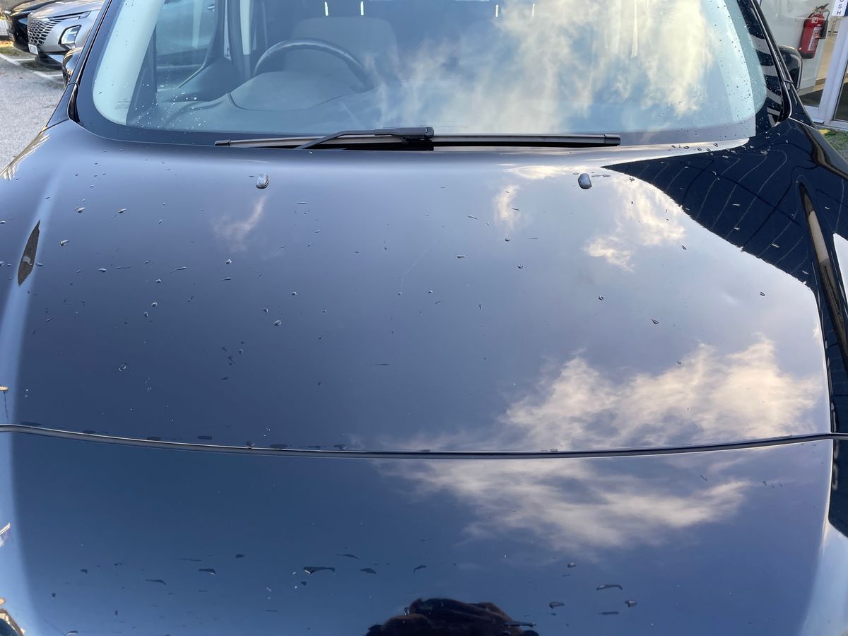 Used Ford Grand Tourneo Connect 2020 for sale - 77434748: Photo 33