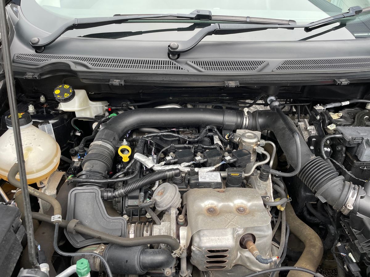 Used Ford Ecosport 2022 for sale - 76888759: Photo 33