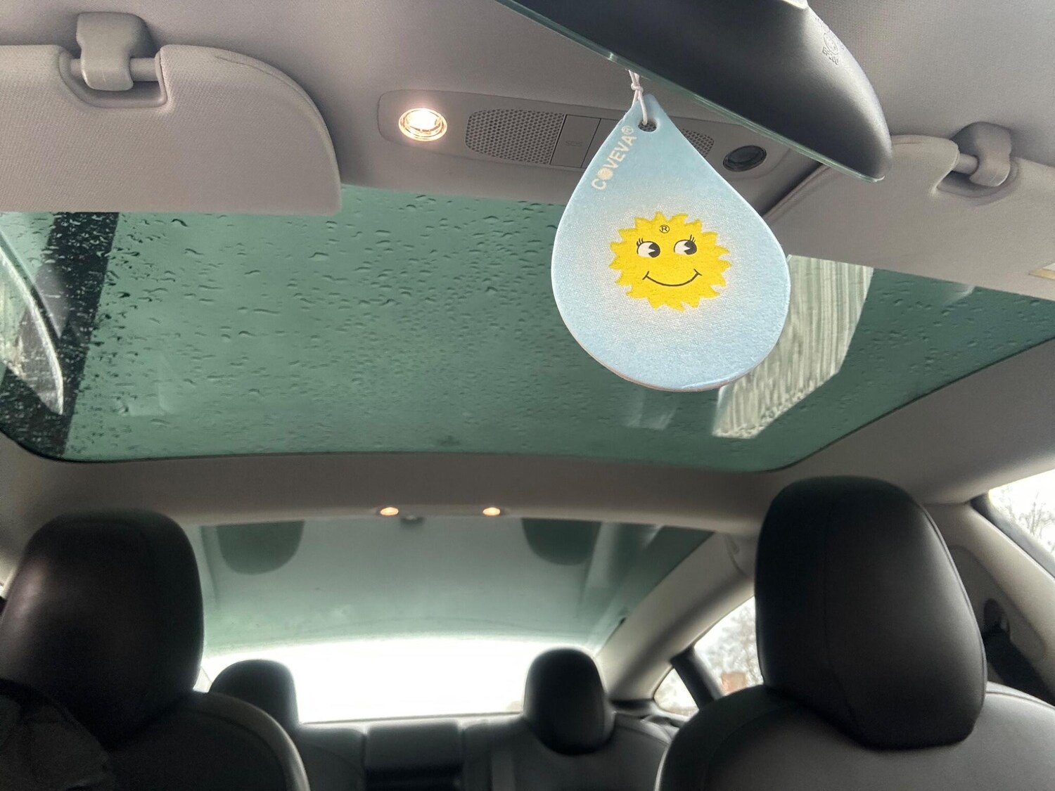 Used Tesla Model 3 2019 for sale - 77253613: Photo 33