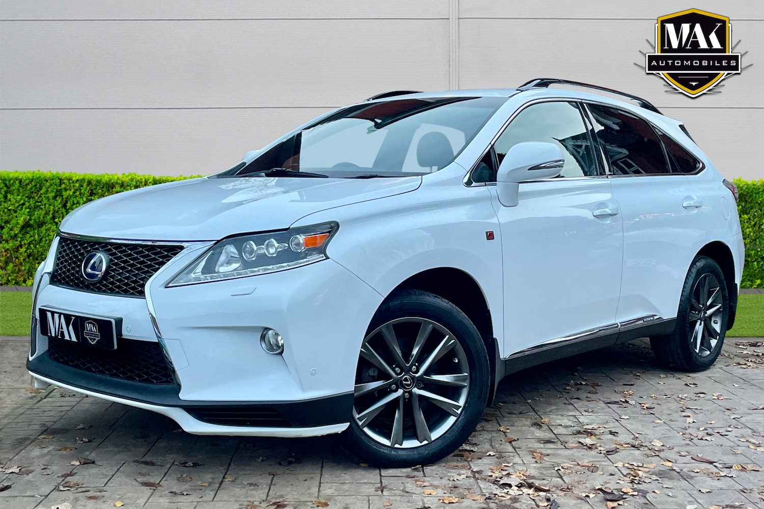 Used Lexus RX 2014 for sale - 77025713: Photo 3