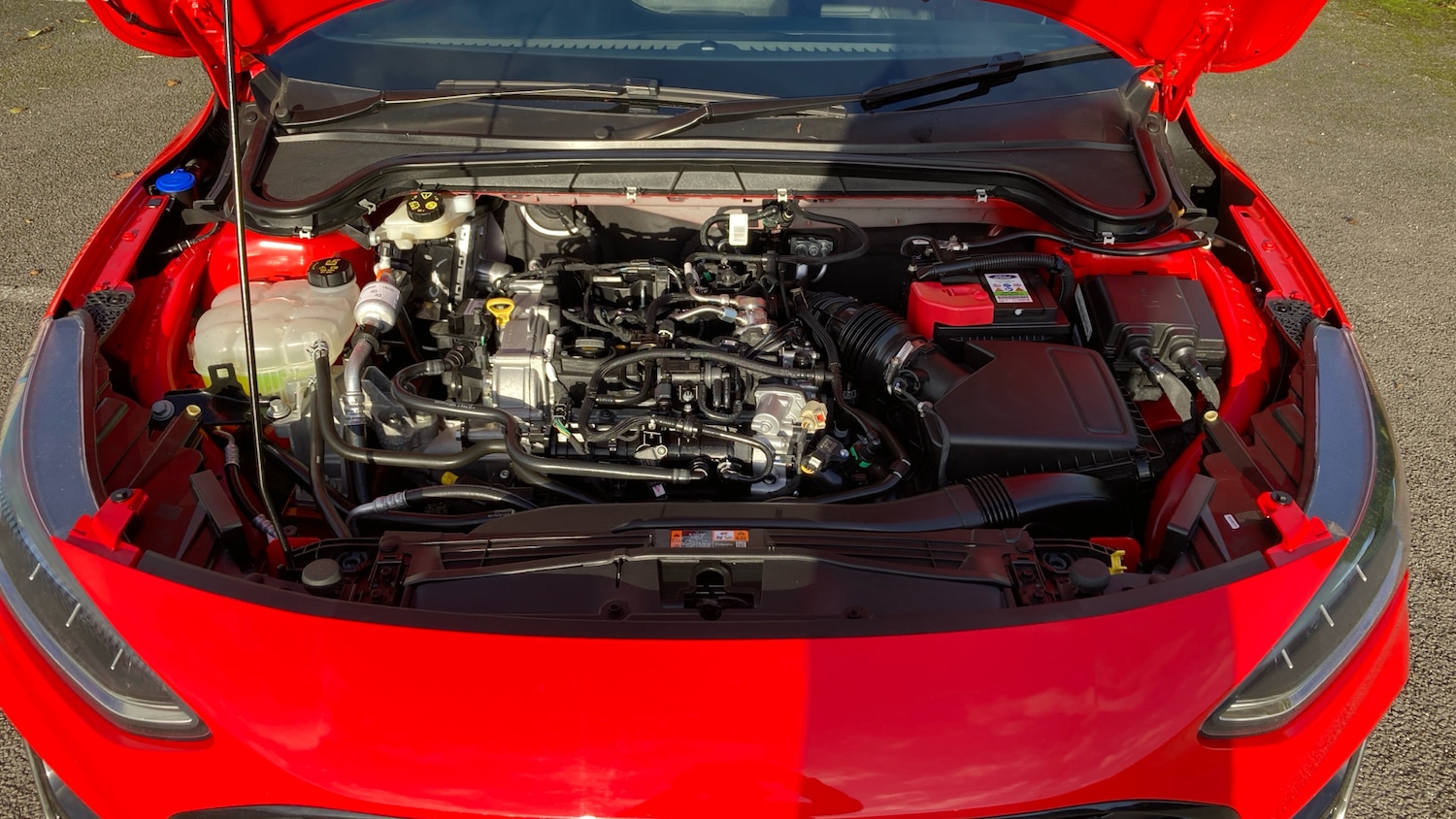 Used Ford Focus 2022 for sale - 76904903: Photo 8