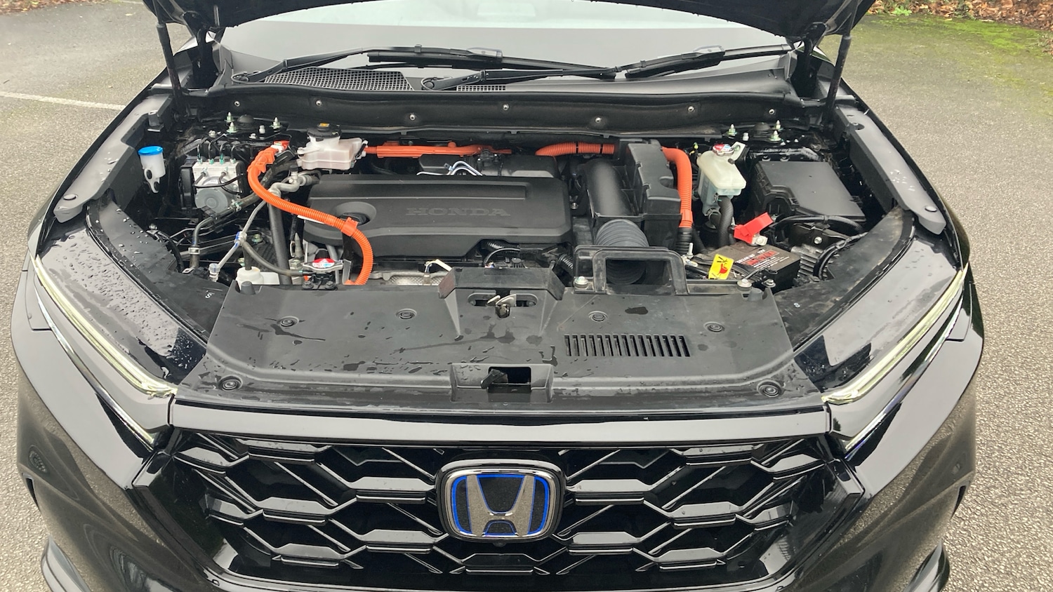 Used Honda CR-V 2025 for sale - 76984682: Photo 13