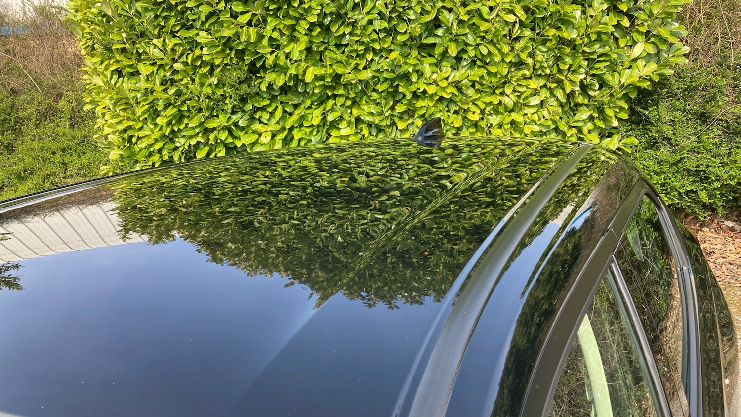 Used Honda HR-V 2023 for sale - 77975743: Photo 41