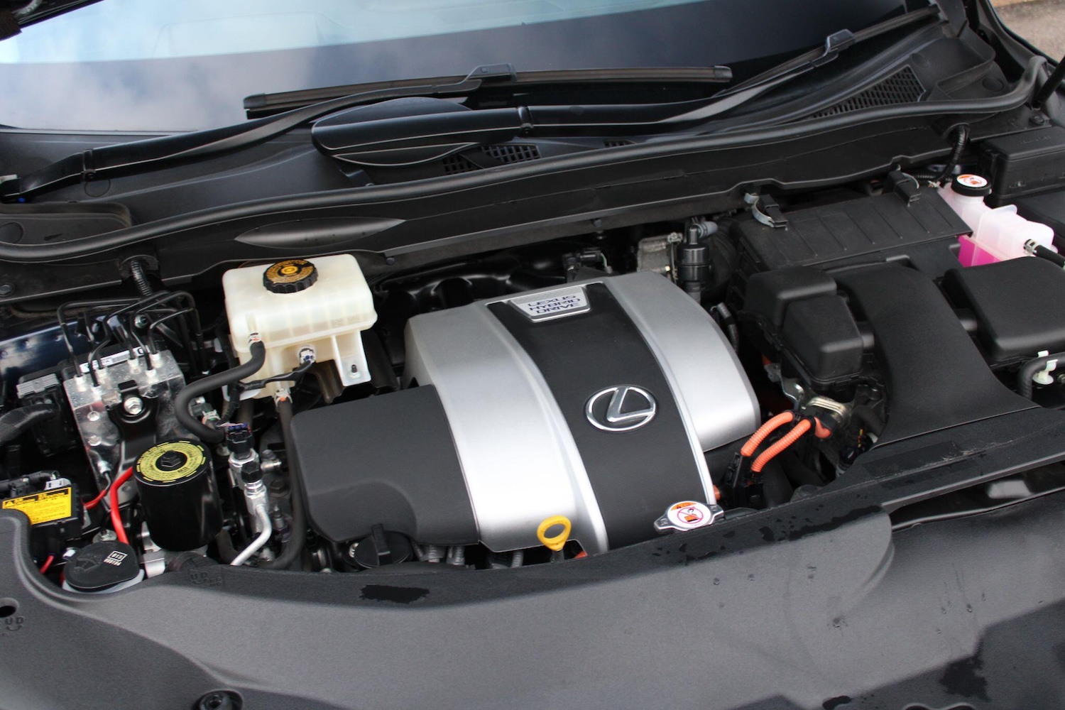 Used Lexus RX 2022 for sale - 77028992: Photo 43