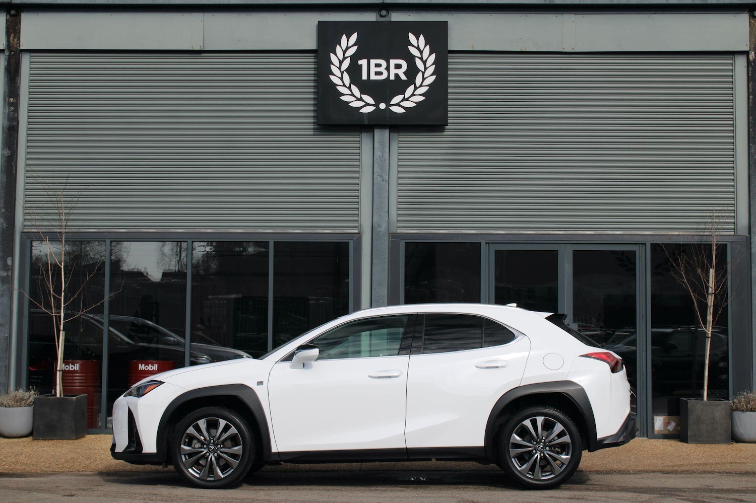 Used Lexus UX 2023 for sale - 77724078: Photo 6