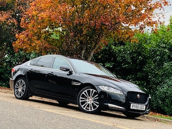 Used Jaguar XF 2015 for sale - 77242774: Photo
