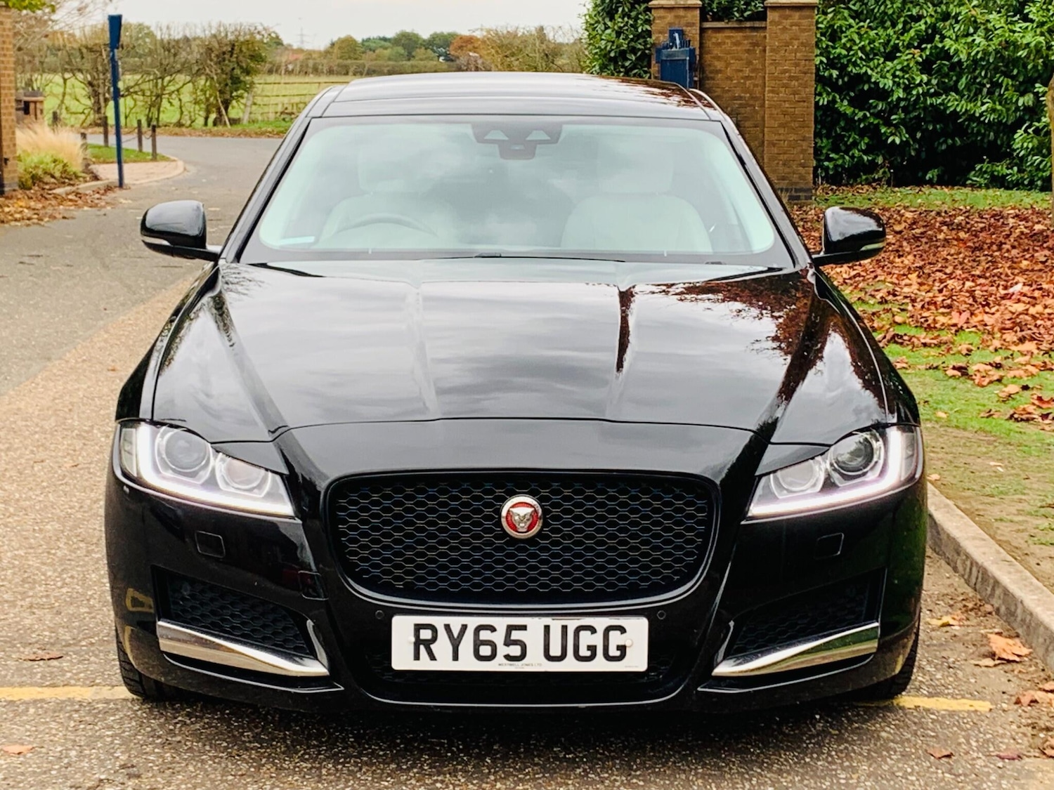 Used Jaguar XF 2015 for sale - 77242774: Photo 51