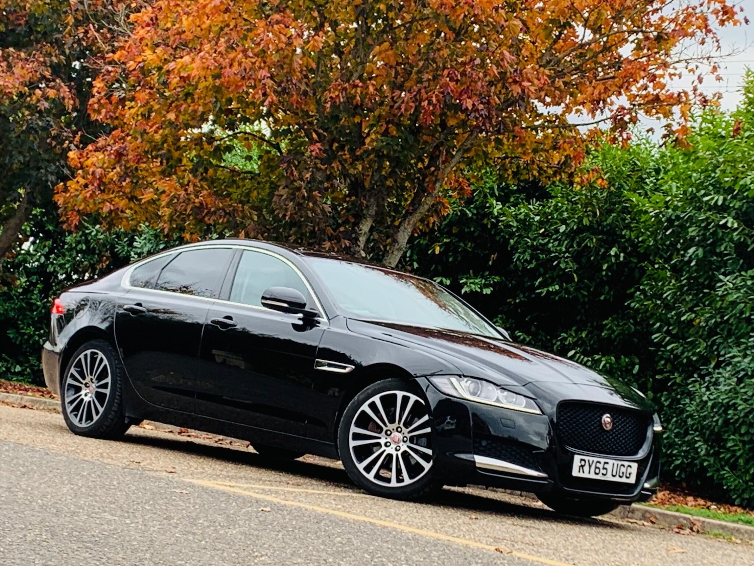 Used Jaguar XF 2015 for sale - 77291820: Photo 5