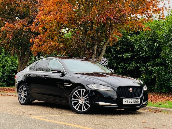 Used Jaguar XF 2015 for sale - 76295557: Photo 1