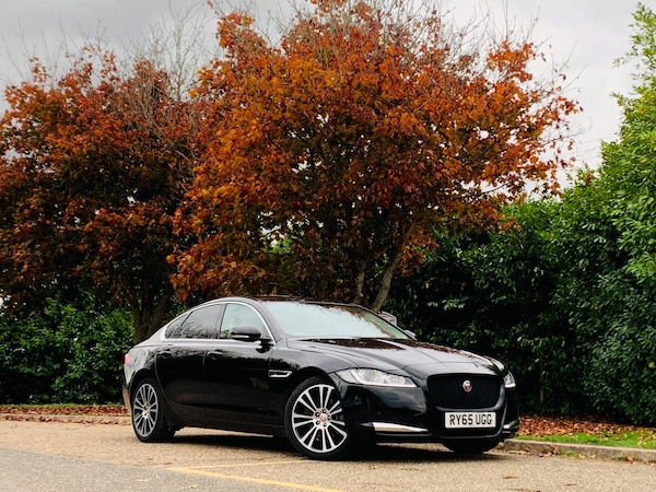 Used Jaguar XF 2015 for sale - 76295557: Photo 5