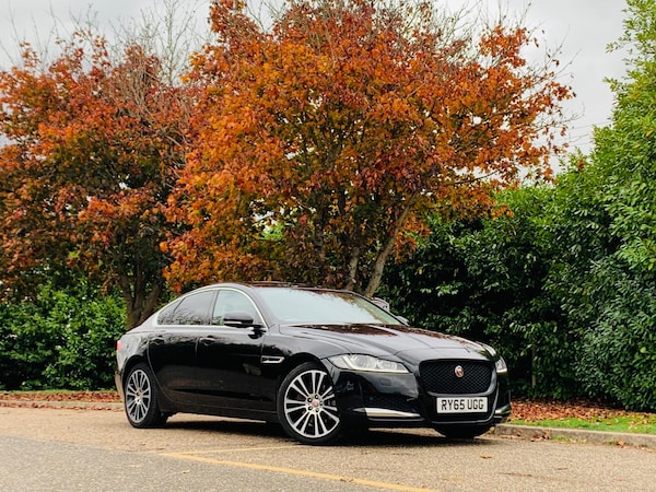 Used Jaguar XF 2015 for sale - 76295557: Photo 6
