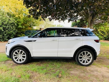 Used Land Rover Range Rover Evoque 2017 for sale - 79848381: Photo
