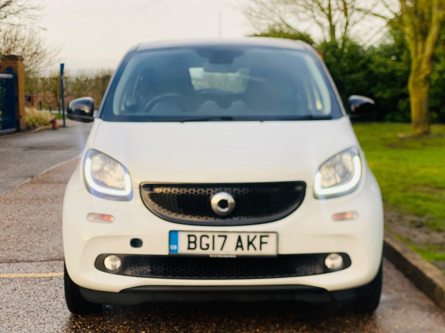 Used smart forfour 2017 for sale - 77163581: Photo 12