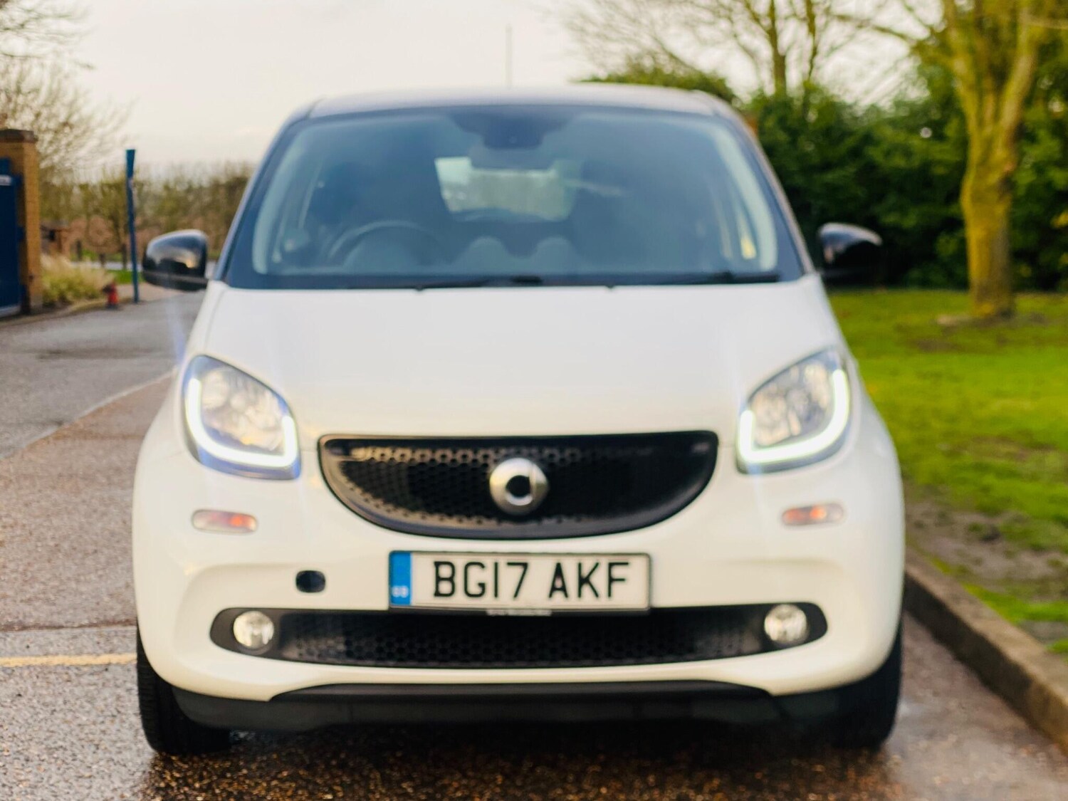 Used smart forfour 2017 for sale - 77163581: Photo 13