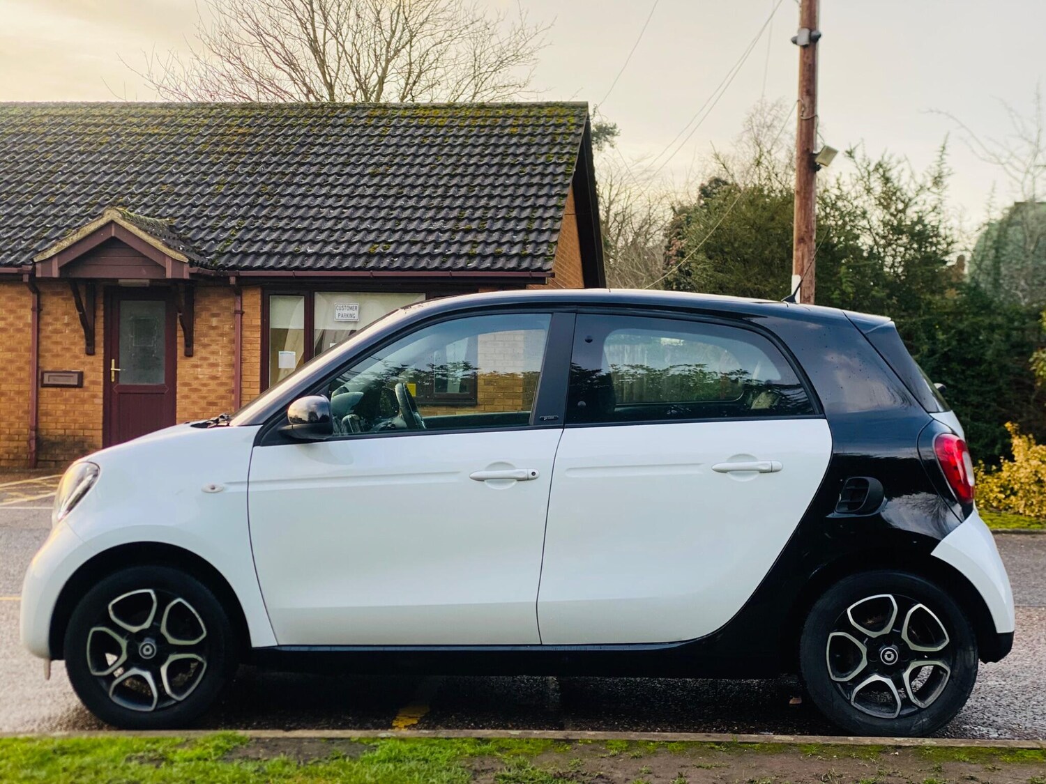 Used smart forfour 2017 for sale - 77163581: Photo 14