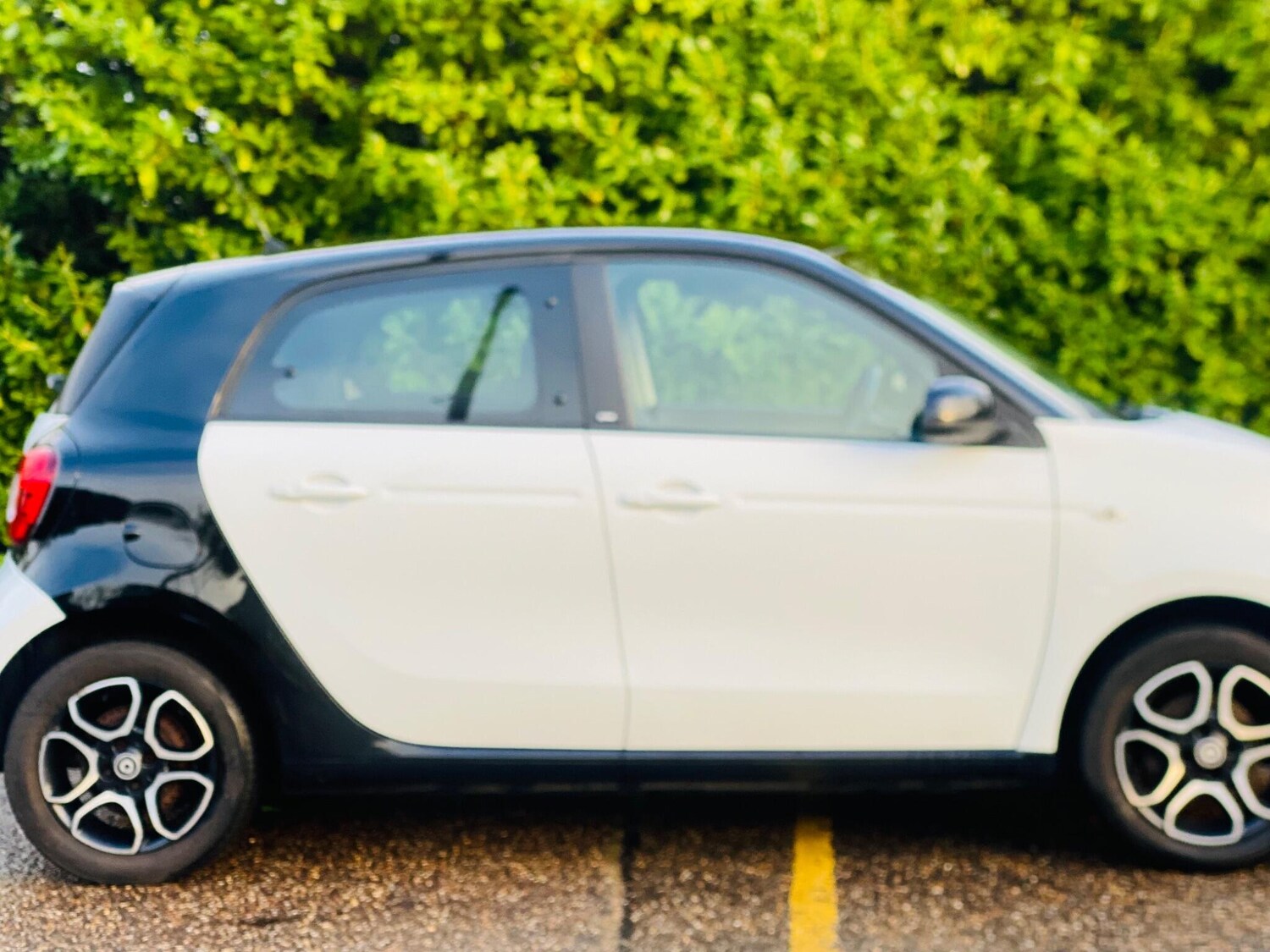 Used smart forfour 2017 for sale - 77163581: Photo 18