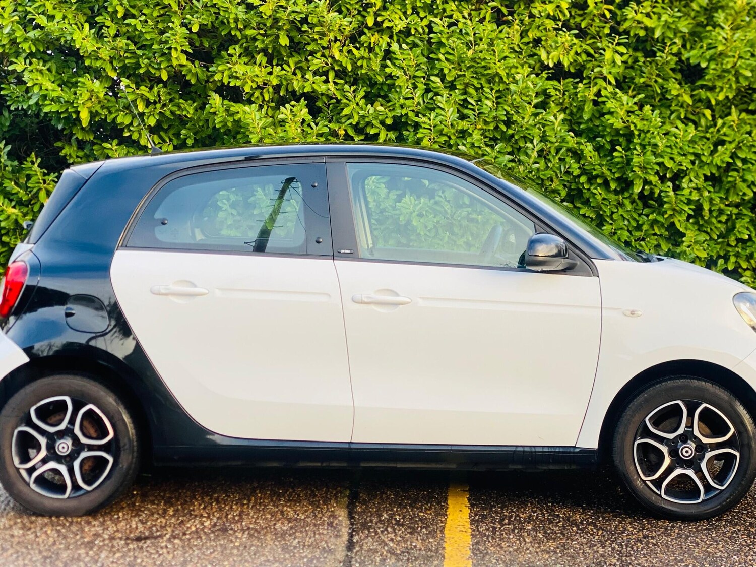 Used smart forfour 2017 for sale - 77163581: Photo 19