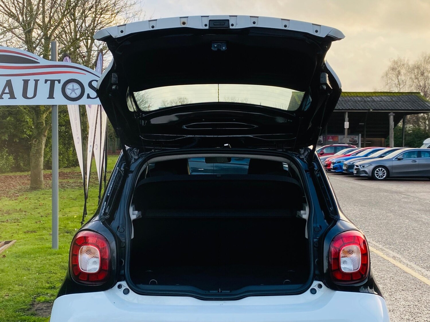 Used smart forfour 2017 for sale - 77163581: Photo 45