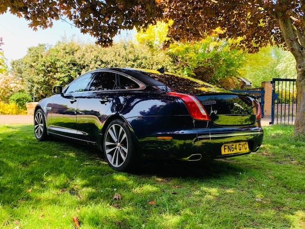 Used Jaguar XJ 2014 for sale - 75781303: Photo 5