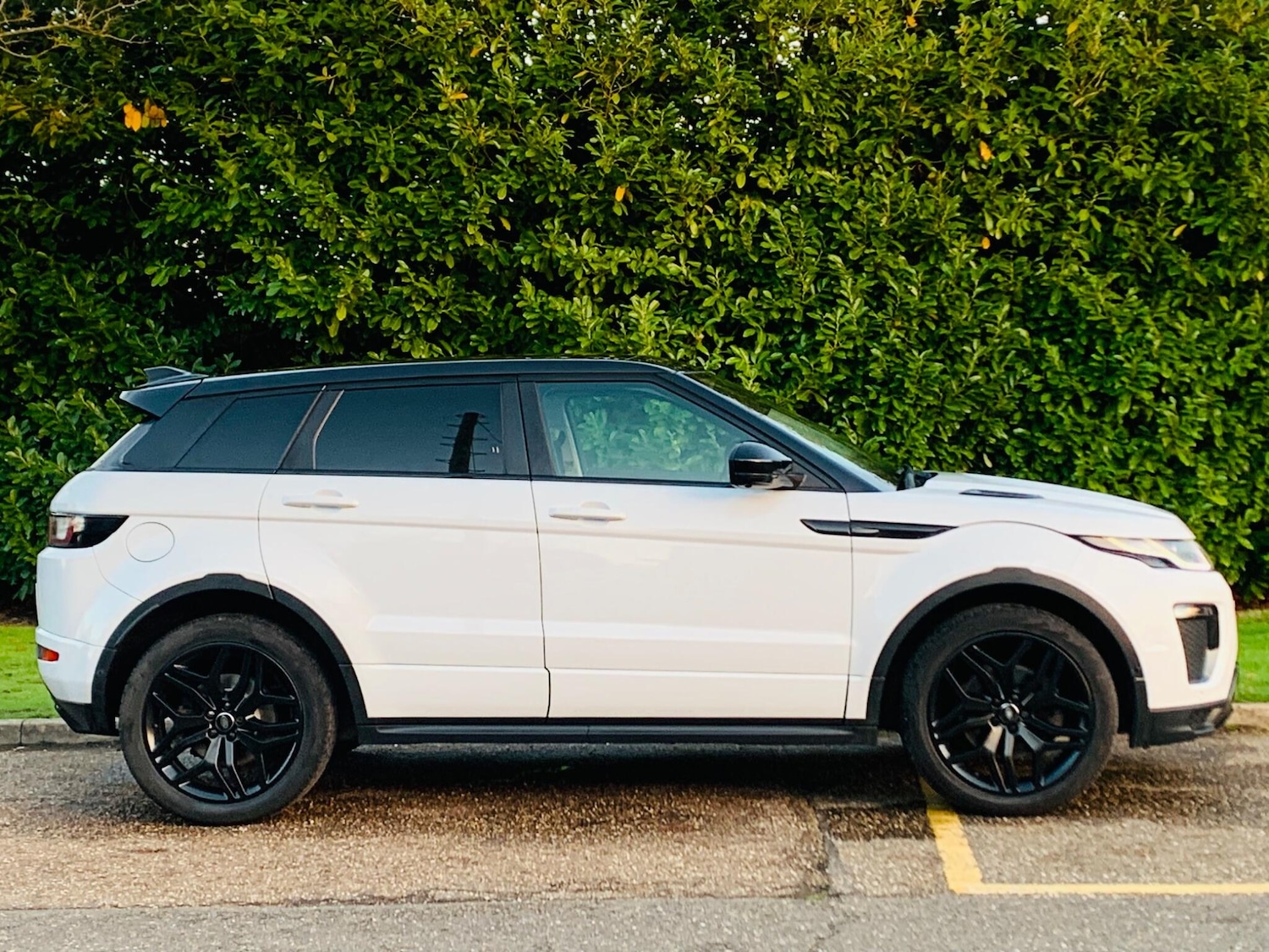 Used Land Rover Range Rover Evoque for sale - 76996721: Photo 10