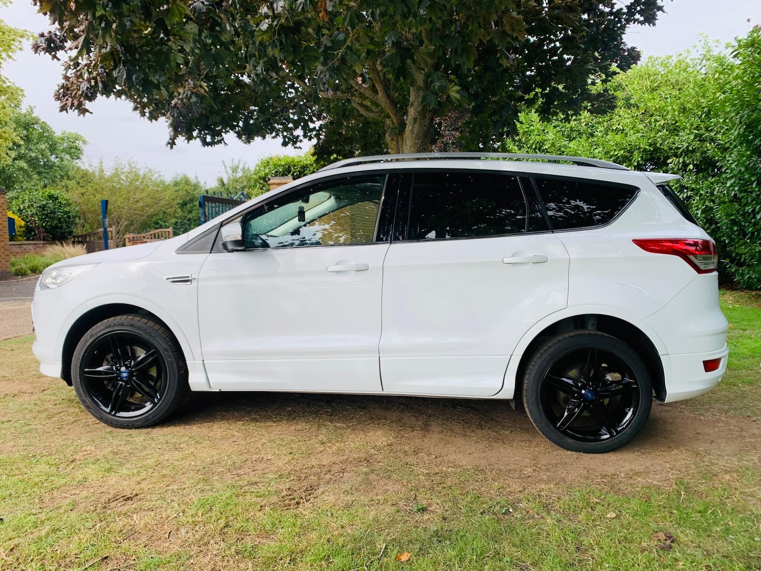 Used Ford Kuga 2016 for sale - 76094262: Photo 11