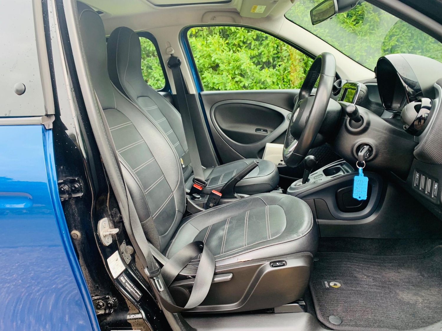 Used smart forfour 2017 for sale - 77598043: Photo 13