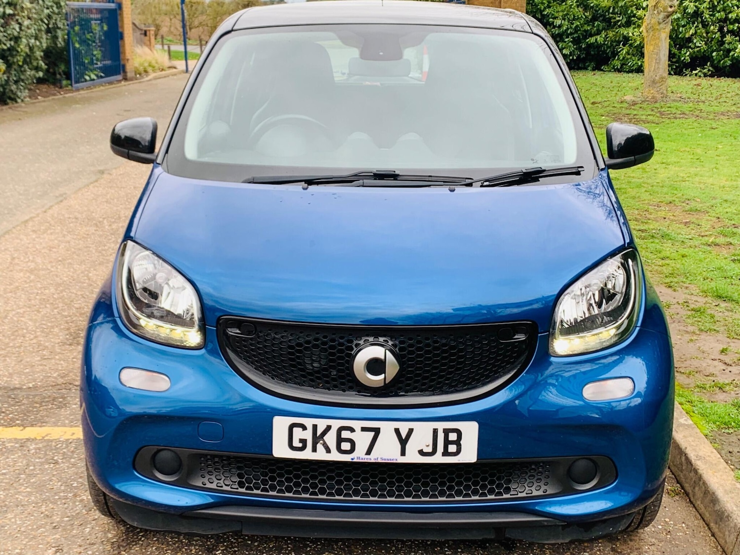 Used smart forfour 2017 for sale - 77598043: Photo 2